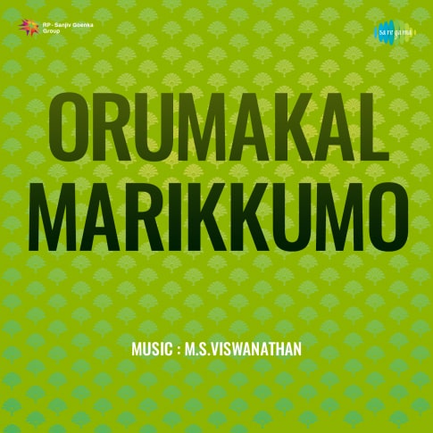 Album Blurred Banner Image