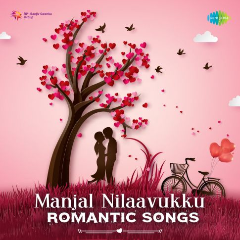 Album Blurred Banner Image