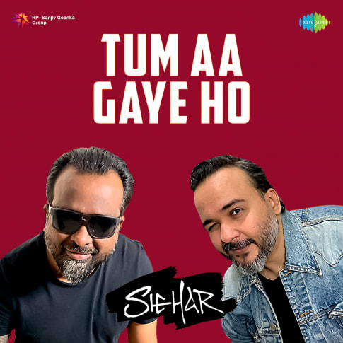 Tum Aa Gaye Ho MP3 Song Download - Tum Aa Gaye Ho