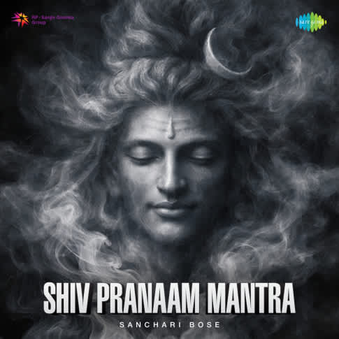 Album Blurred Banner Image