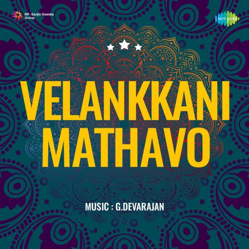 Album Blurred Banner Image