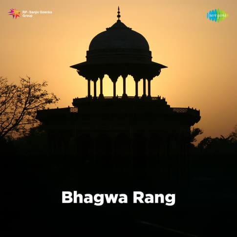 Album Blurred Banner Image