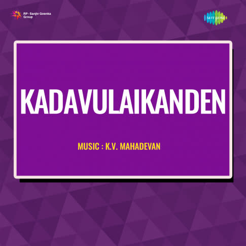 Album Blurred Banner Image