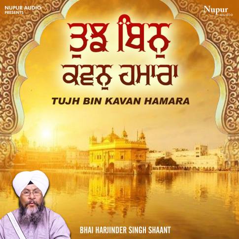 Album Blurred Banner Image