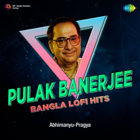 Album Blurred Banner Image