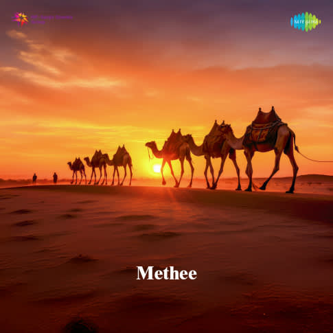 Album Blurred Banner Image