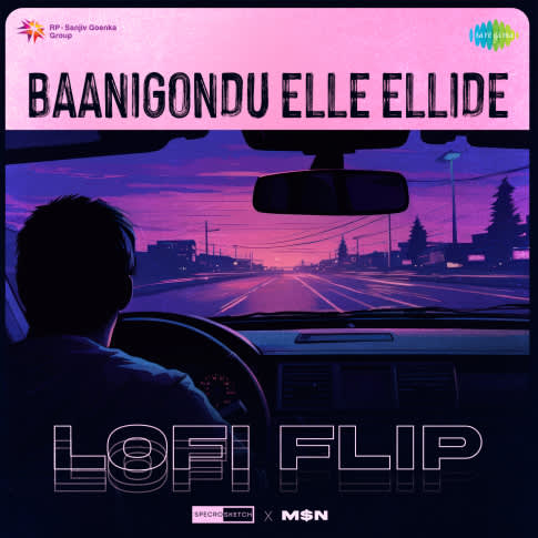 Album Blurred Banner Image