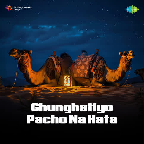 Album Blurred Banner Image