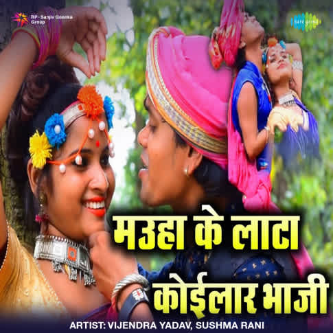 Album Blurred Banner Image