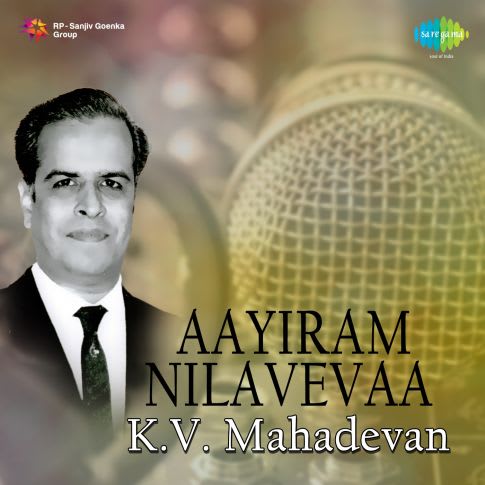 Album Blurred Banner Image