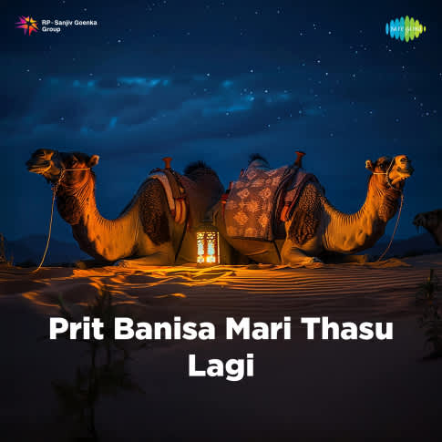 Album Blurred Banner Image