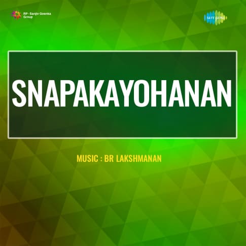 Album Blurred Banner Image