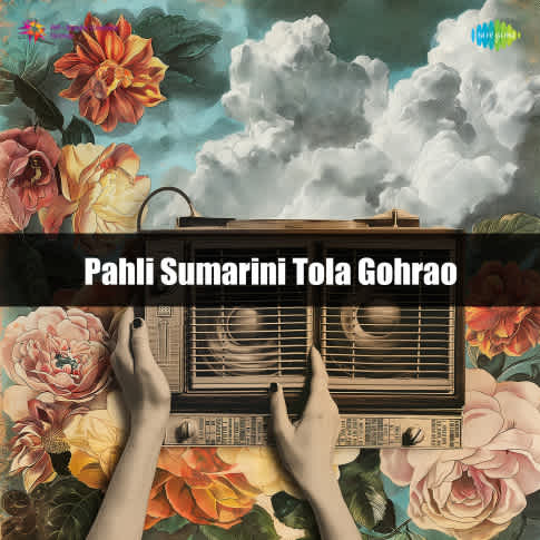 Album Blurred Banner Image