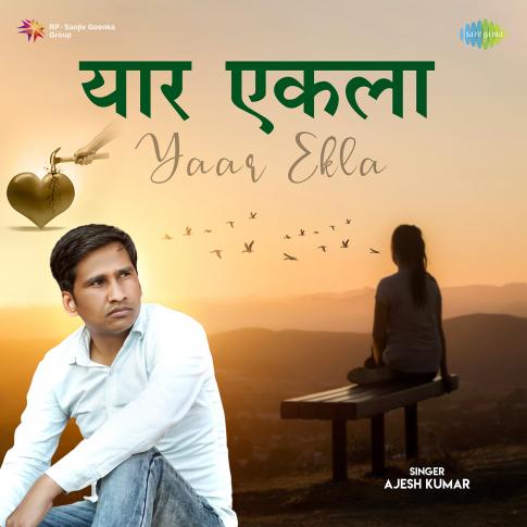 Album Blurred Banner Image