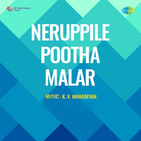 Album Blurred Banner Image