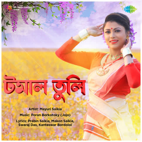 Album Blurred Banner Image