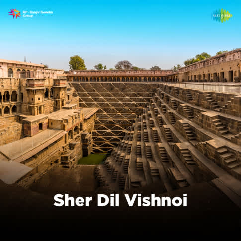 Album Blurred Banner Image