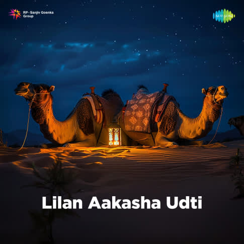 Album Blurred Banner Image