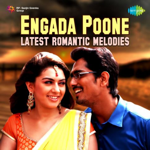 Album Blurred Banner Image