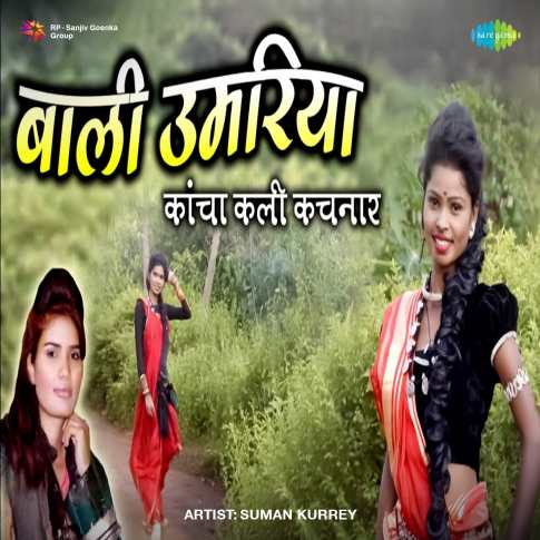 Album Blurred Banner Image