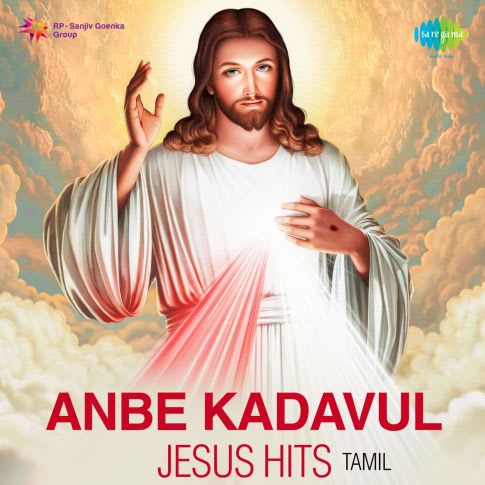 Album Blurred Banner Image