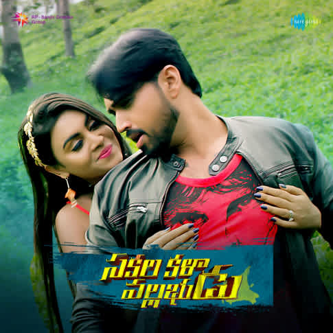 Album Blurred Banner Image