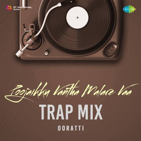 Album Blurred Banner Image