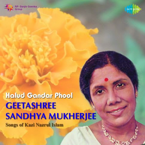 Album Blurred Banner Image