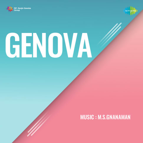 Album Blurred Banner Image