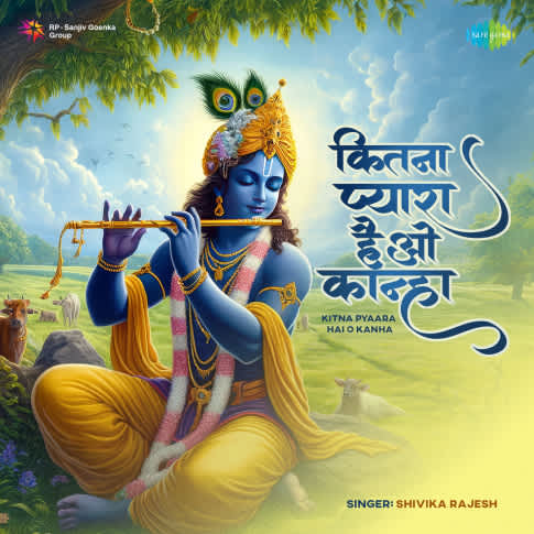 Album Blurred Banner Image