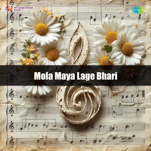 Album Blurred Banner Image