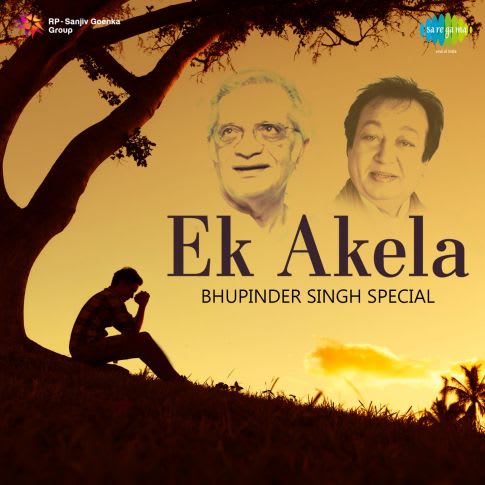 Album Blurred Banner Image