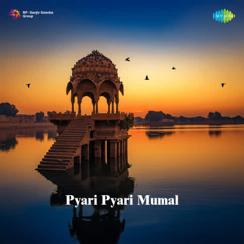 Album Blurred Banner Image