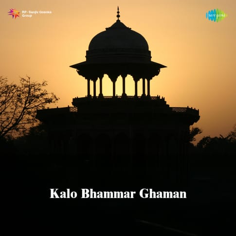 Album Blurred Banner Image