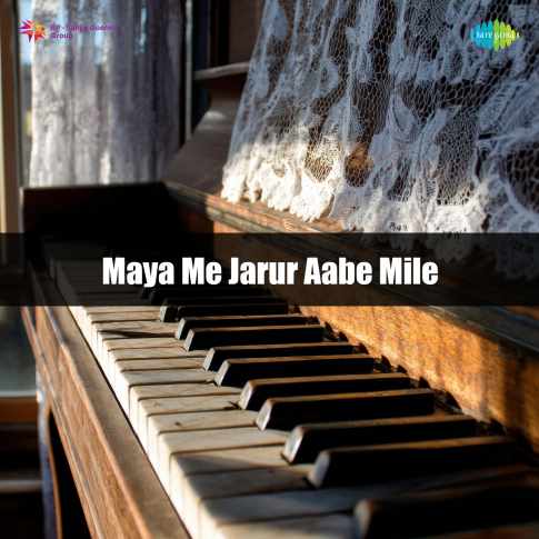 Album Blurred Banner Image