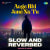Aage Bhi Jane Na Tu - Slow And Reverbed Aage Bhi Jane Na Tu - Slow And Reverbed