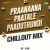 Praanaana Paatale Paaduthundi - Chillout Mix Praanaana Paatale Paaduthundi - Chillout Mix