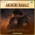 Arerere Ragale - Lofi Chill Arerere Ragale - Lofi Chill