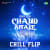 Chand Sitare Chill Flip Chand Sitare Chill Flip
