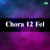 Chora 12 Fel