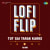 Tut Gai Tarak Karke LoFi Flip