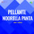 Pellante Noorella Panta Pellante Noorella Panta