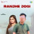 Ranjhe Jogi Ranjhe Jogi