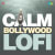 Aanewala Pal Janewala Hai - Lofi Aanewala Pal Janewala Hai - Lofi