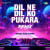 Dil Ne Dil Ko Pukara - Remix