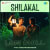 Shilakal - Lofi Chill Shilakal - Lofi Chill