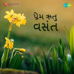 Prem Rutu Vasant - 07 February 2019 Download | Prem Rutu Vasant - 07 ...