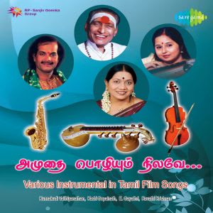 Kuyilaaga Naan Irunthen MP3 Song Download Various Instrumental in Kuyilaaga Naan Irunthen MP3 Song Download Various Instrumental in