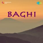 Baghi