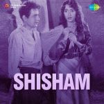 Shisham